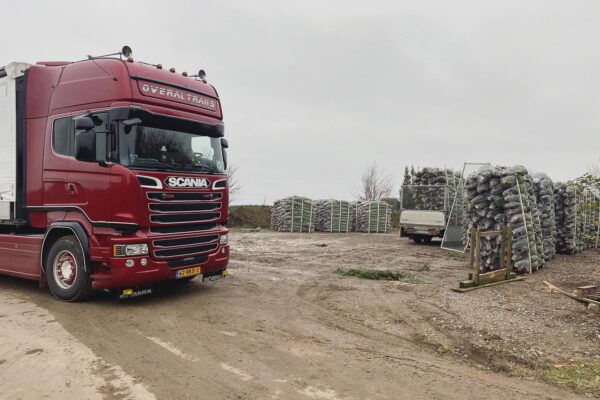 Kerstbomen groothandel transport vrachtwagen