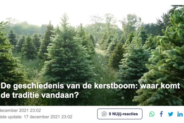 Kerstboom groothandel - de geschiedenis van de kerstboom - op Nu.nl
